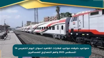 «مواعيد دقيقة» مواعيد قطارات القاهرة أسوان اليوم الخميس 14 أغسطس 2025 وأهم النصائح للمسافرين
